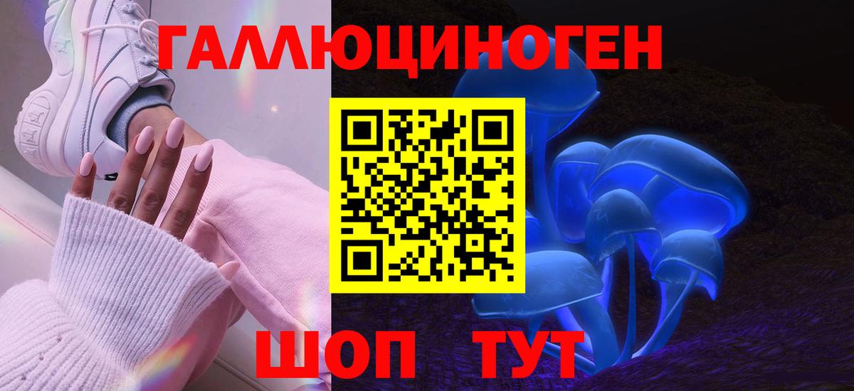 Буйнакск  сколько стоит  Вход с VPN  Псилоцибиновые грибы Cubensis 
